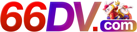 66DV.com